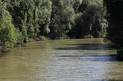 238-Delta del Danubio,7 agosto 2011